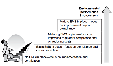 Evolutionary model of management system development