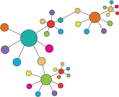 Organizational Team Network