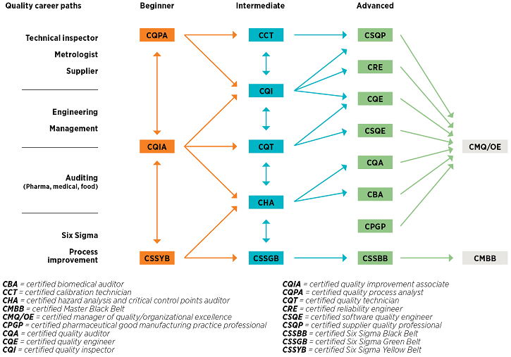 Common Six Sigma Belt Pathways