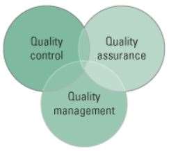 Three Elements of a Quality Plan