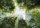 Greener, Stronger Feature